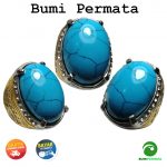 Batu Cincin Akik Badar Ijo / Badar Pyrus Jawa 1