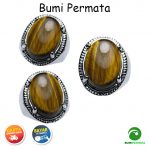 Batu Cincin Akik Biduri Sepah Golden Size Kantoran 2