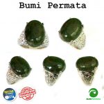 Batu Cincin Akik Lumut Suliki Badar Lumut 1