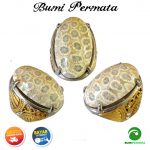 Batu Cincin Akik Motif Bunga Teratai 1