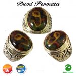 Batu Cincin Akik Pancawarna Gambar Angka 9 1