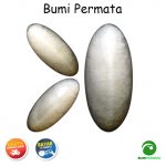 Batu Mulia Akik Pandan Kapas Sisik Betok 1
