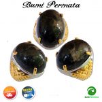 Cincin Batu Akik Fosil Kayu Galih Kelor Hitam 1
