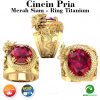 Naga 3D Baja Titanium Emas Kristal Rubi Berlian Perhiasan Fashion Pria Patung Hewan Cincin Punk Gold Rings