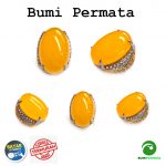 Batu Cincin Akik Giok Kuning Yellow Jade Jumbo 2