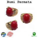 Batu Cincin Akik Red Marjan Coral 1