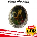 Batu Cincin Akik Lumut Suliki Motif Naga