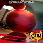 Batu Akik Fosil Kayu Tembus Cahaya Kode 857