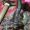 Keris Naga Pasa Luk 13 Pamor Segoro Muncar Tangguh Tundung Madiun Sepuh Kuno (3)